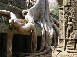 Angkor area 3Days Tour