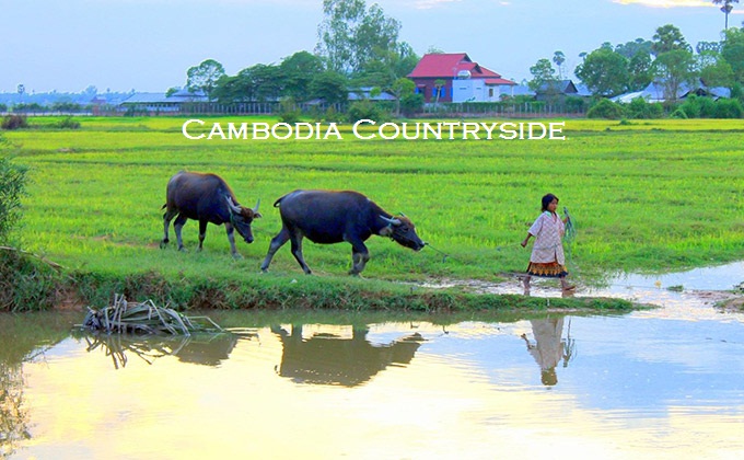 HL Angkor Tours