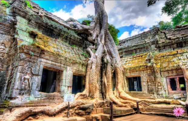 Angkor Area + Preah Vihear 4Days Tour