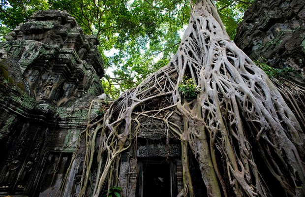 Ta Prohm Temple